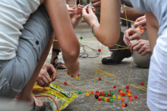 jonines_2009_00028_05_30_09