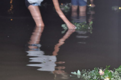 jonines_2009_00087_05_30_09