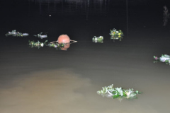 jonines_2009_00088_05_30_09