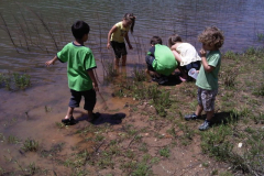 img00327_20090510_1246-sized