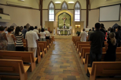 dsc_0335_large-sized